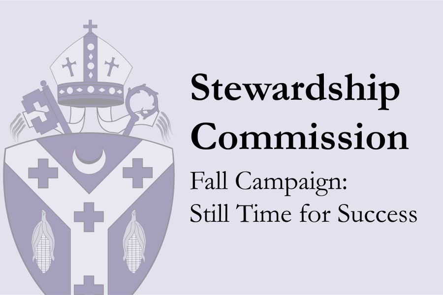 Fall Campaign Graphic