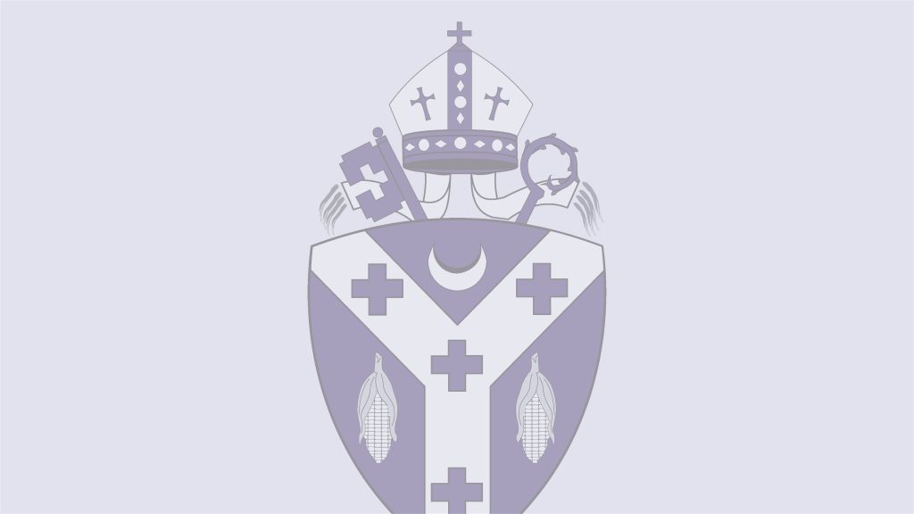 Diocesan Shield Banner