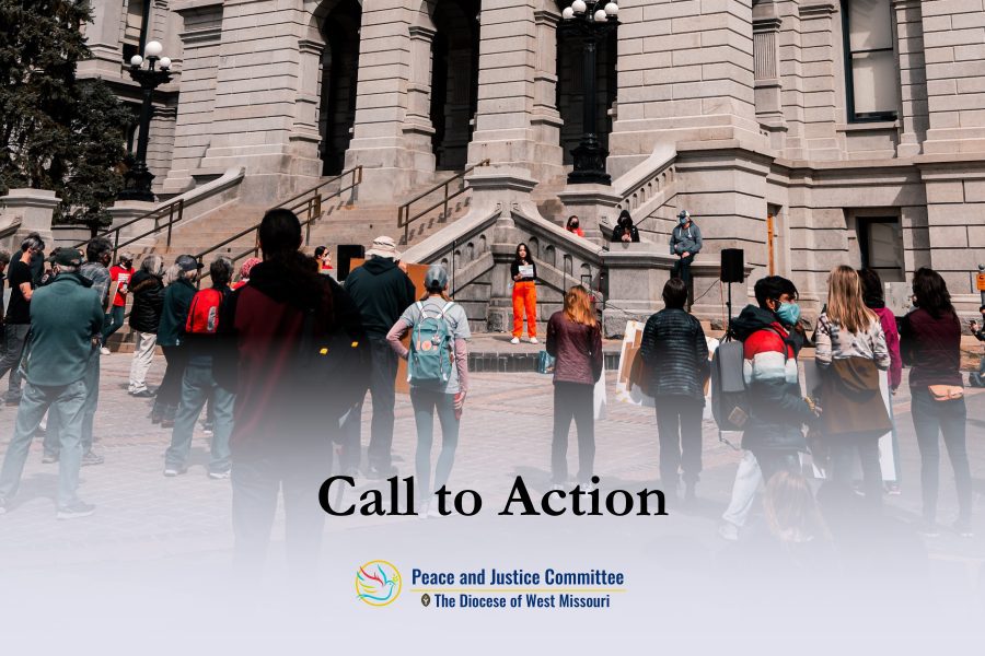 Peace and Justice Call to Action Template