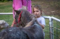 St. Peter and All Saints Family Funfest