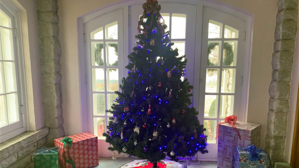 Christmas on the Square Harrisonville