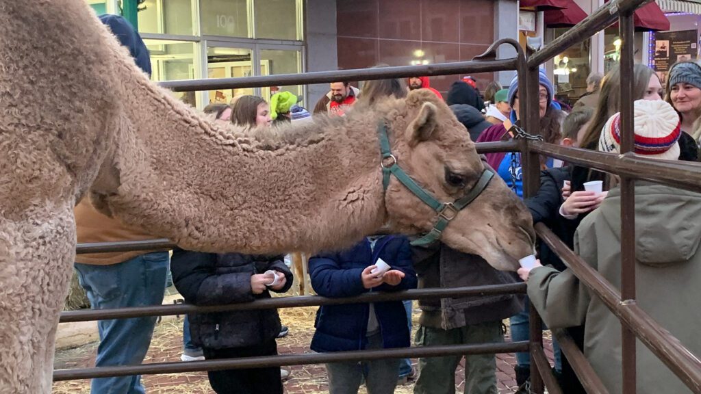 Christmas on the Square Harrisonville
