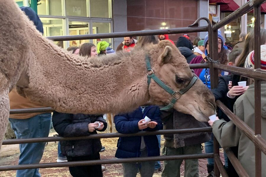 Christmas on the Square Harrisonville